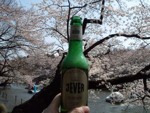 hanami2006-02..jpg