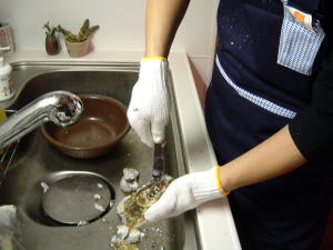 oyster2.jpg