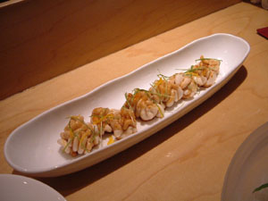 shirako.jpg